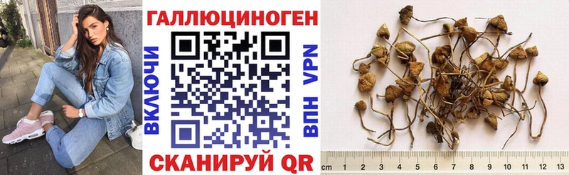 Галлюциногенные грибы ЛСД где купить наркотик Брюховецкая
